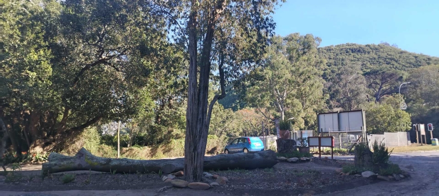 0 Bedroom Property for Sale in Knysna Central Western Cape